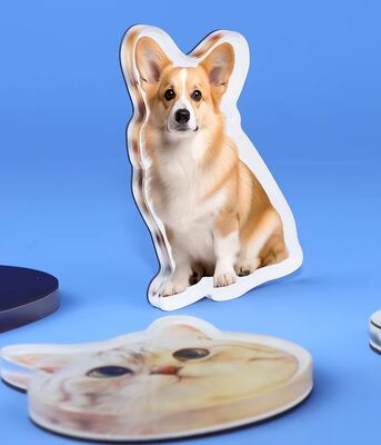 Mua HAPPY GIFT sản xuất tùy chỉnh thiết kế vật nuôi Acrylic tủ lạnh nam châm Anime dễ thương tùy biến Holographic nhãn dán nhựa online manufacture