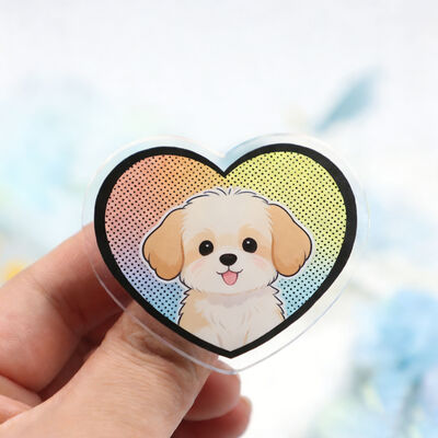 Giá tốt. Huy hiệu Pin Acrylic cổ tùy chỉnh – Logo Anime hoạt hình được cá nhân hóa cho Mũ, Quần áo & Trâm cài trực tuyến